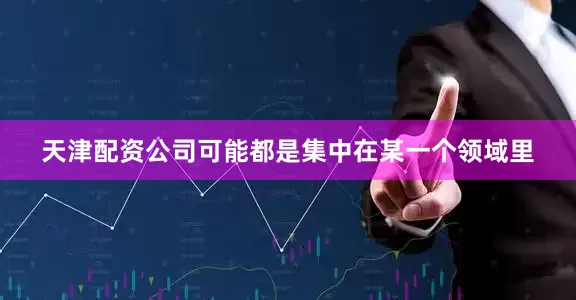 天津配资公司可能都是集中在某一个领域里